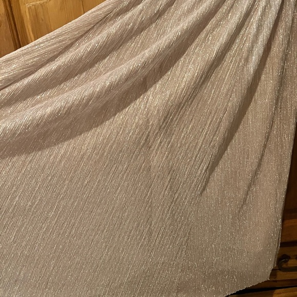 ANTHROPOLOGIE MAEVE METALLIC ROSE GOLD PLEATED ACCORDION MIDI - Size - Medium - Picture 4 of 7